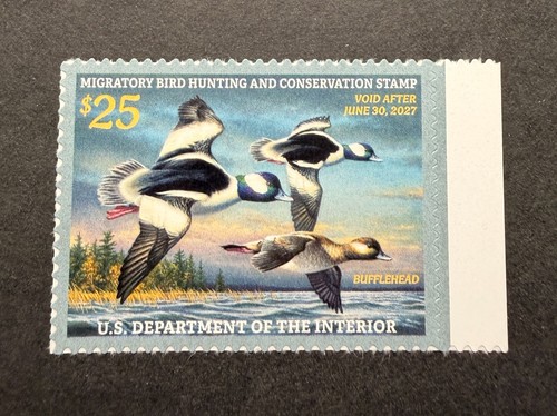 Wtdstamps rw93 2026 - wtdstamps,